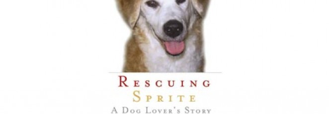 Rescuing Sprite