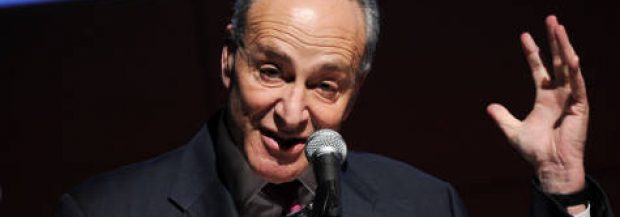 Chuck Schumer: Voice of the Little Man