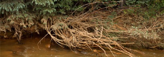 EPA Knew Of ‘Blowout’ Risk For Tainted Water At Gold Mine