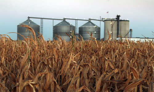 corn silo for sale corn silo for sale