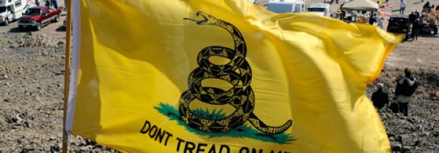 Wearing ‘Don’t Tread on Me’ Insignia Could Be Punishable Racial Harassment